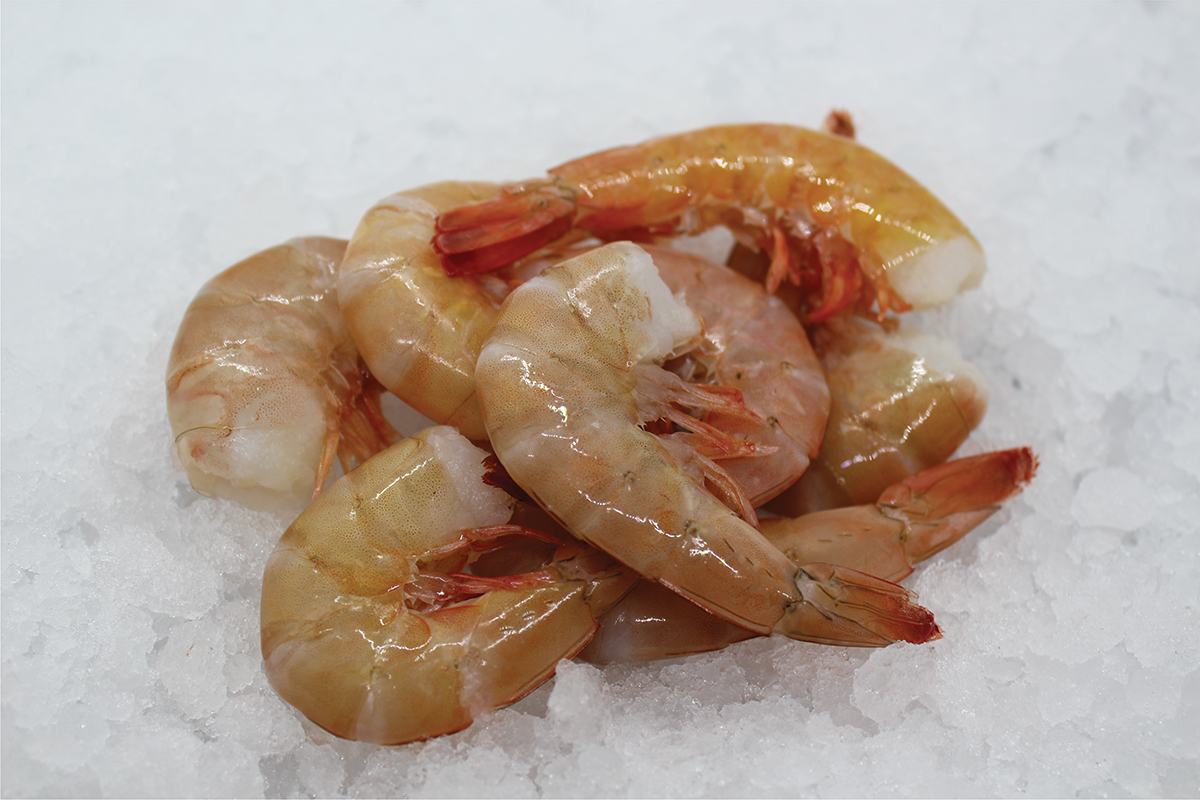Wild Caught Gulf of Mexico Shrimp (Raw) Cruising Crab
