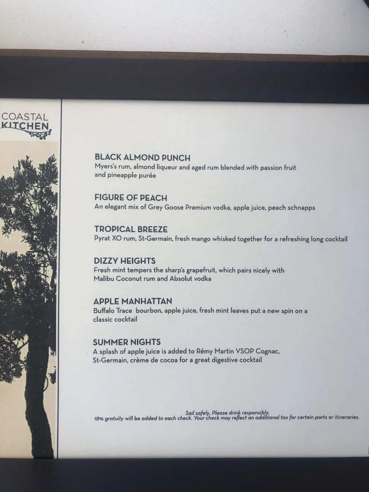 Royal Caribbean's Latest Drinks Package Guide and Drink Menus Cruising With Kids