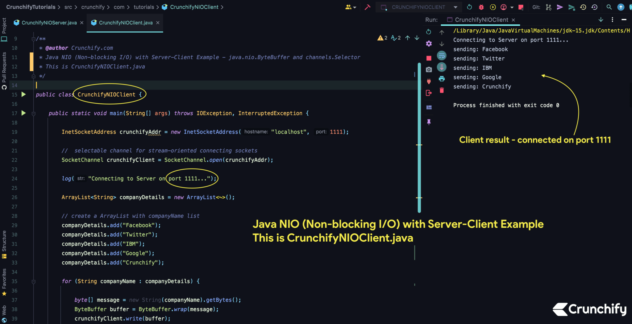 Java NIO (Nonblocking I/O) with ServerClient Example java.nio