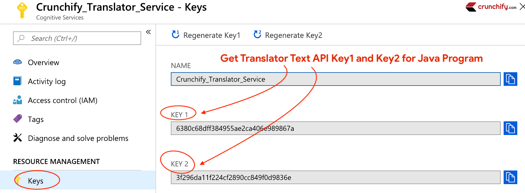 Microsoft Azure Translator Text API Java Tutorial (v3.0) & Azure SignUp