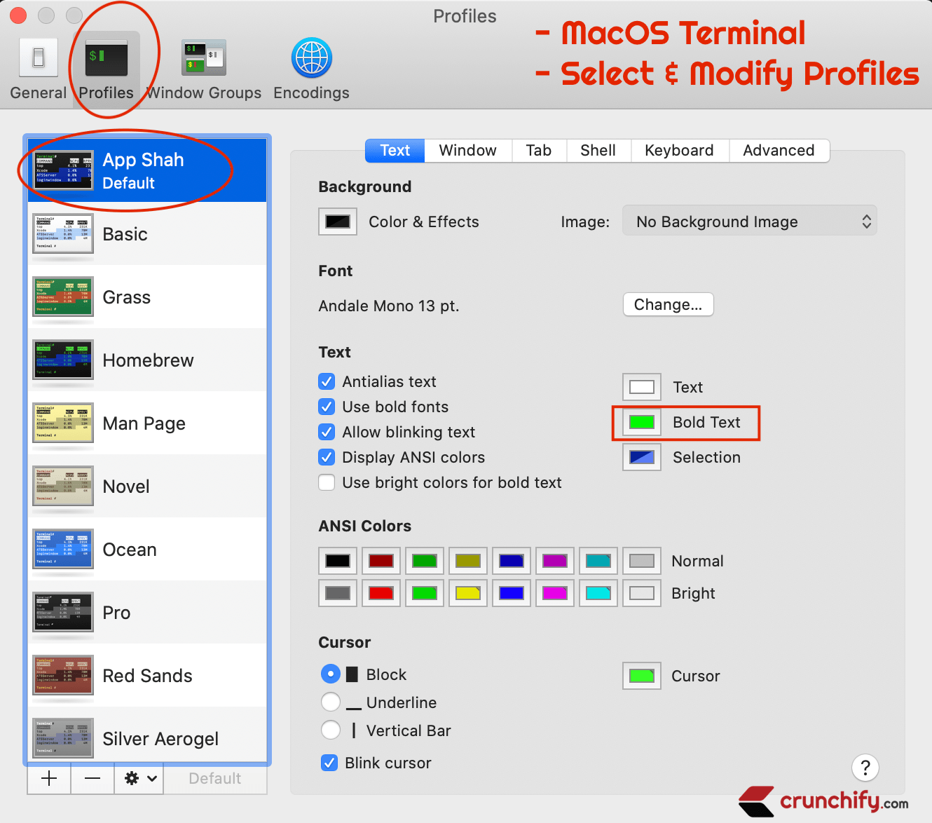 How to Change MacOS Terminal Color? • Crunchify