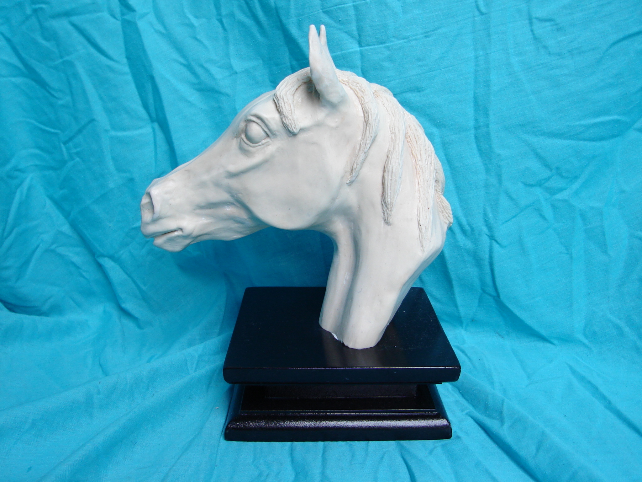 "The Arabian" Horse bust sculpture. crutu