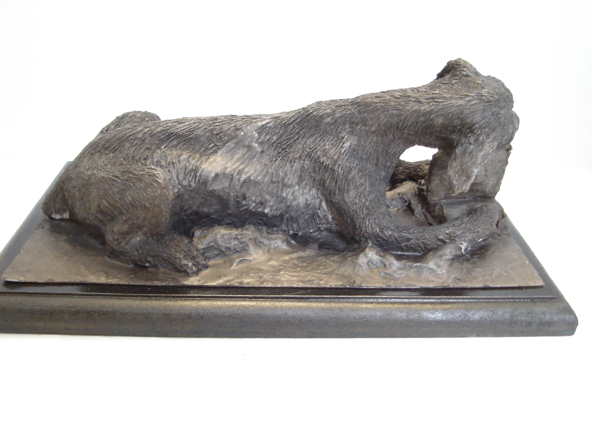 " Hungry For Knowledge " Irish wolfhound sculpture chewing on a book