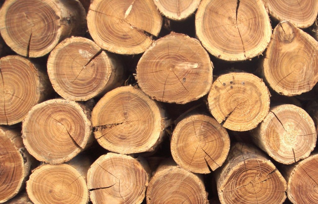 What is timber?