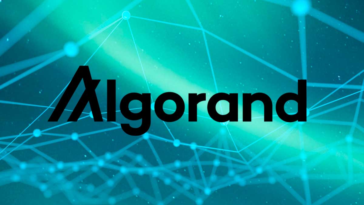 Algorand Foundation Launches New Blockchain Accelerator