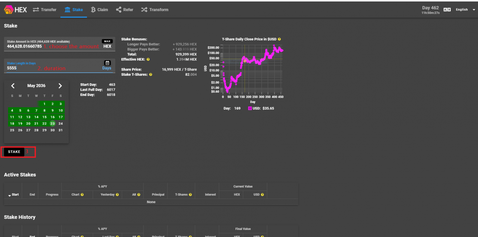 How to Stake HEX tokens Guide by Crypto Eplained