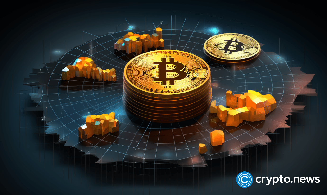 Meet the whales Who owns the most Bitcoins?