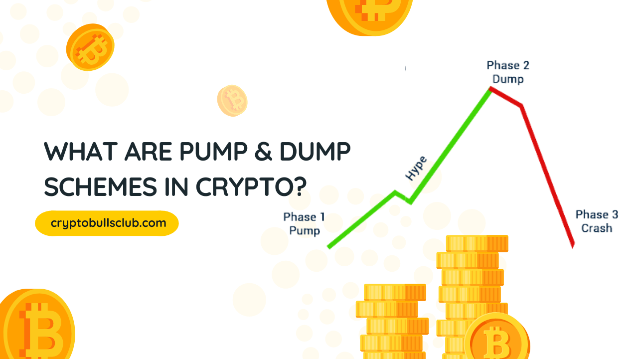 What are Pump and Dump Schemes in Crypto? Crypto Bulls Club
