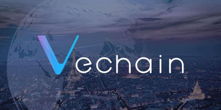 Vechain verwachting Bitcoin Crypto