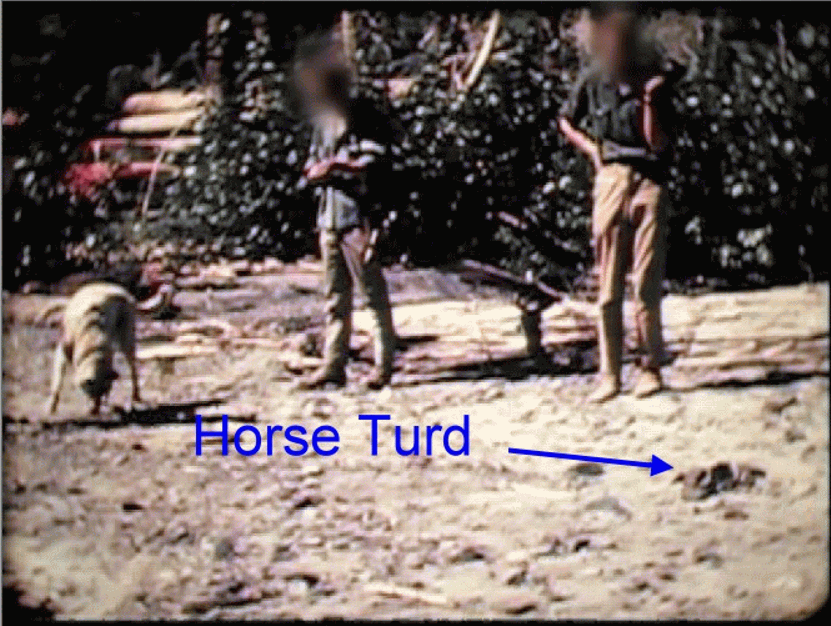 Horse Turd Meaning at Tamala Gavin blog