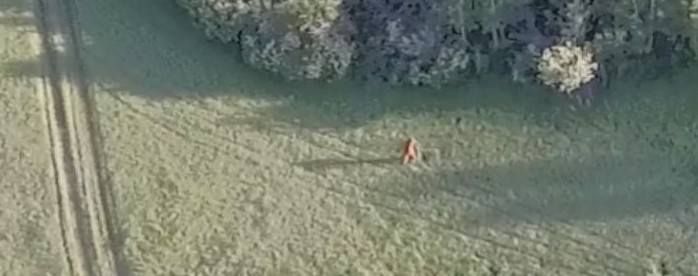 Cryptomundo » Bigfoot Captured on Drone Video in Idaho?
