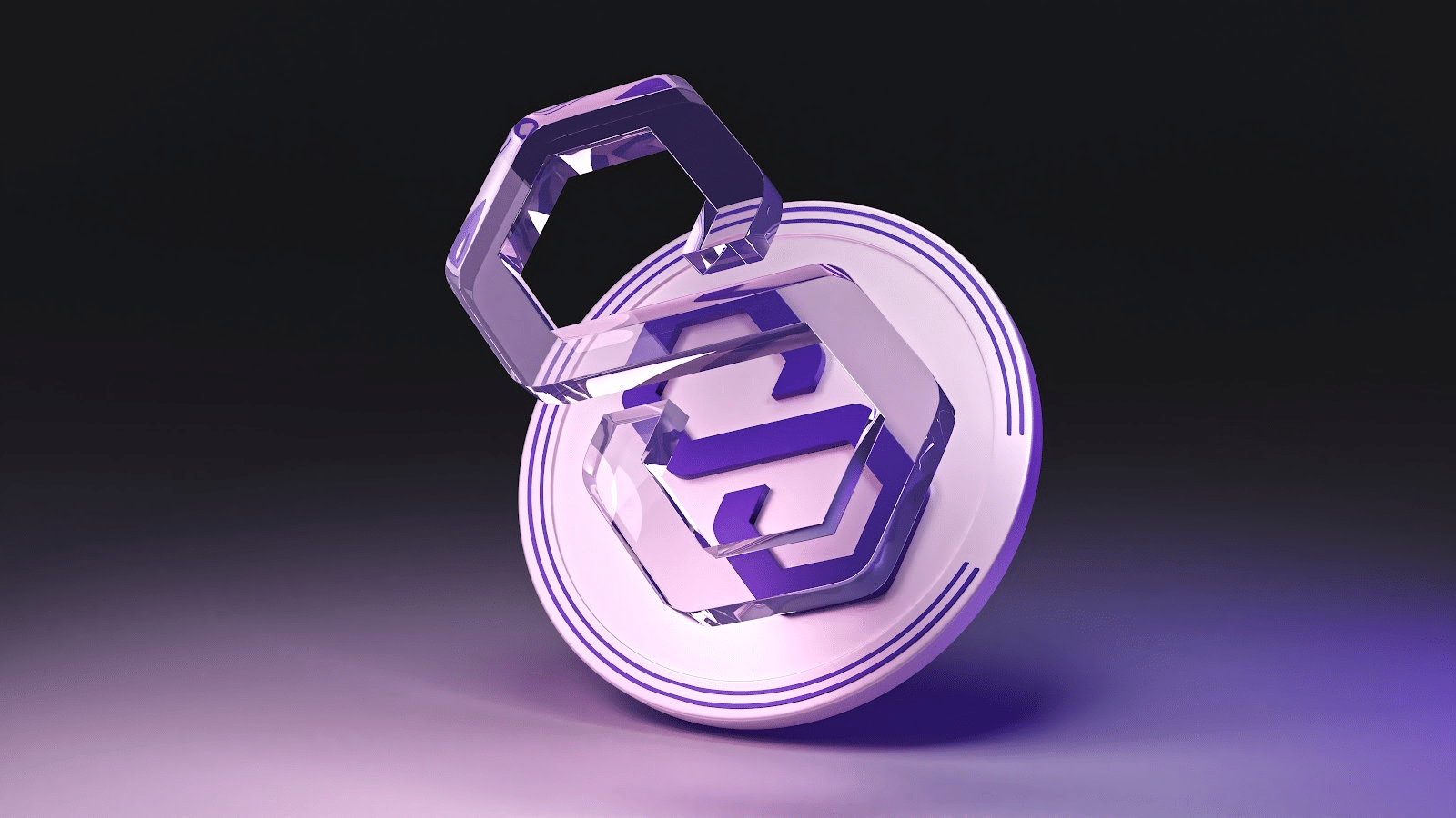 Crypto for longterm XMR and DigiToads The Cryptonomist