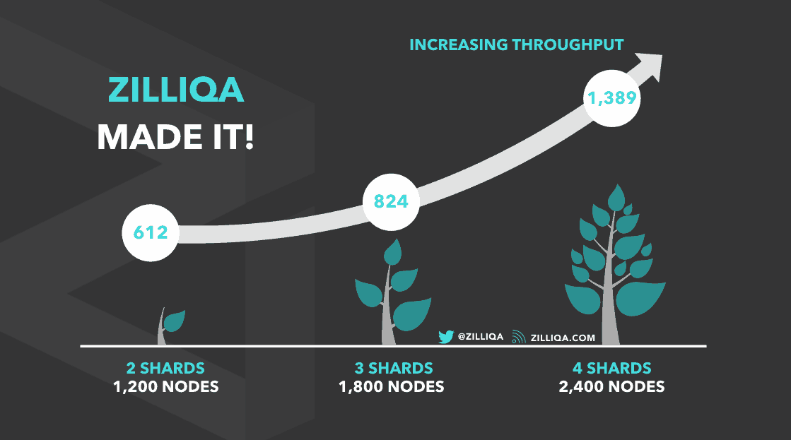 What is Zilliqa? Review and Project Evaluation