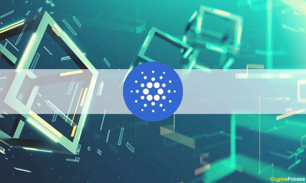 Cardano (ADA) Mary Hard Fork Eyes Launch on March