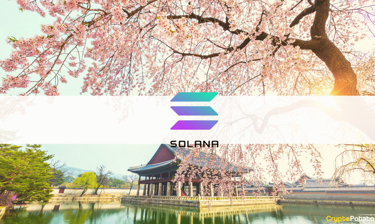 The Solana Foundation and ROK Capital Launch a 20 Million Fund