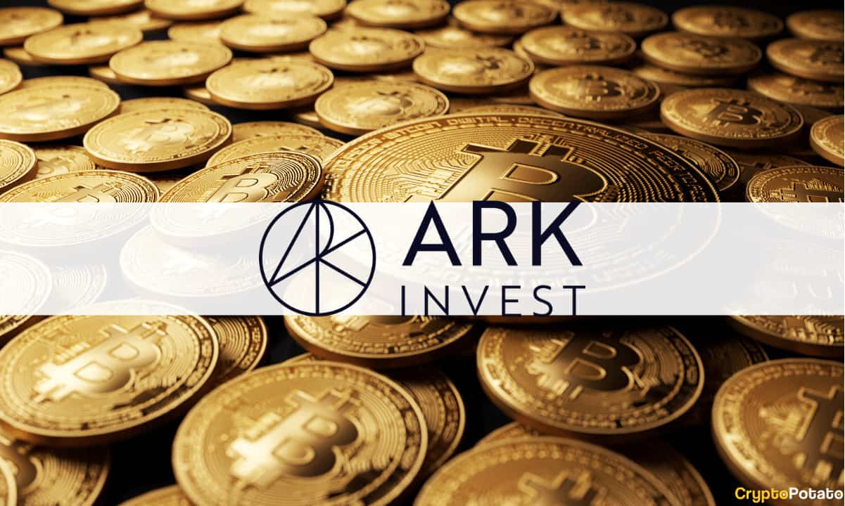 ARK Invest برای ارائه حساب‌های مدیریت جداگانه رمزنگاری (SMA) به مشاوران