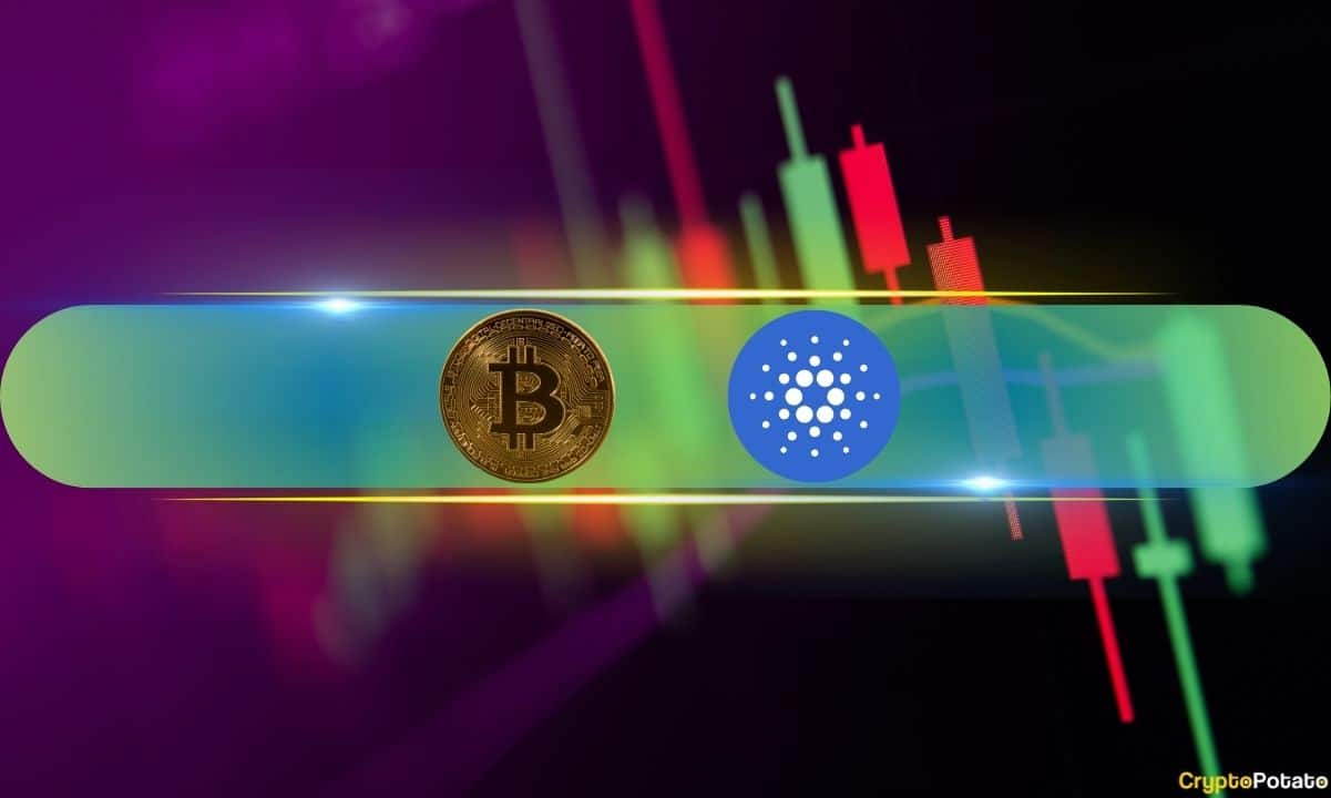 Cardano (ADA) grimpe de 9 % par jour tandis que Bitcoin (BTC) approche à nouveau les 52 000 $ (montre du week-end)
