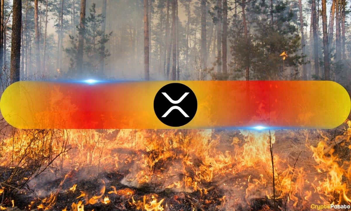 Ripple (XRP) Profit Share Collapses to 58.5%