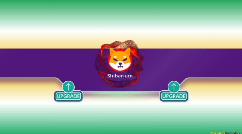 Main Announcement Regarding All Shiba Inu (SHIB) Customers: Particulars