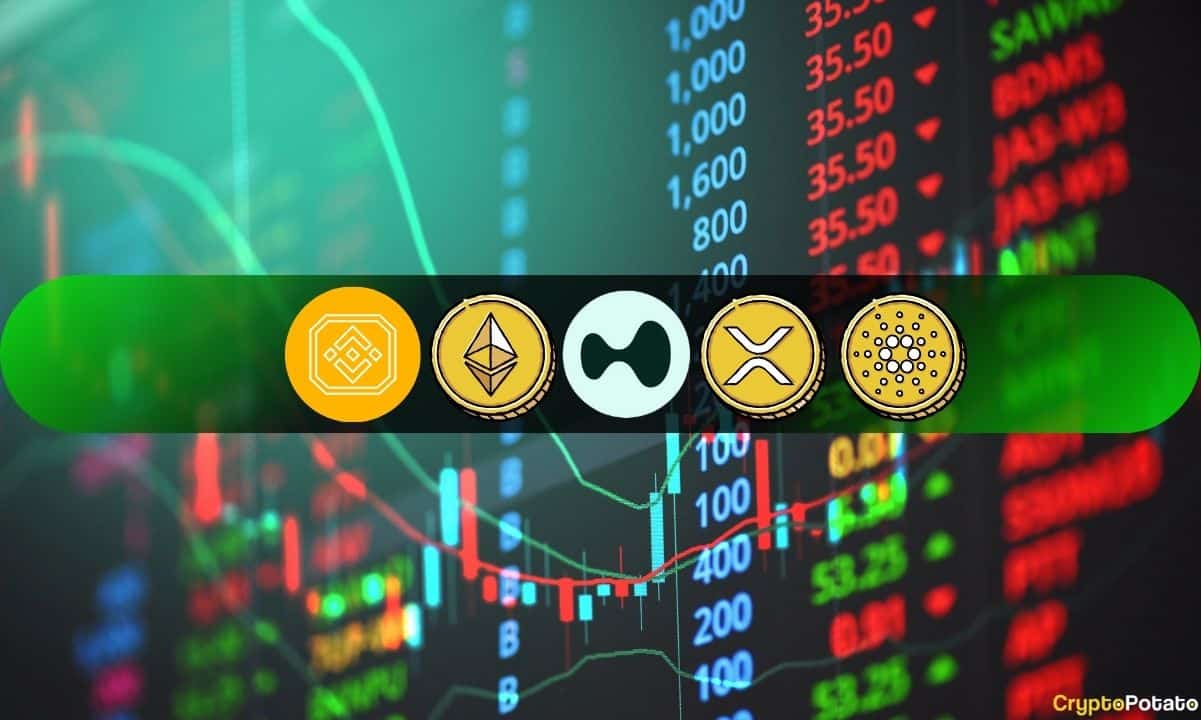ETH, XRP, ADA, BNB et Hype