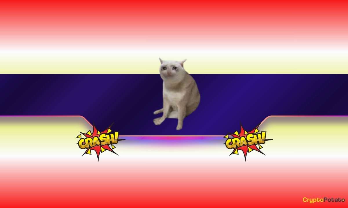 CASHCAT chute de 65 % en une semaine : le destin d'une autre pièce de monnaie ou d'un nouveau chargement de pompe ? CASHCAT chute de 65 % en une semaine : le destin d'une autre pièce de monnaie ou d'un nouveau chargement de pompe ?
