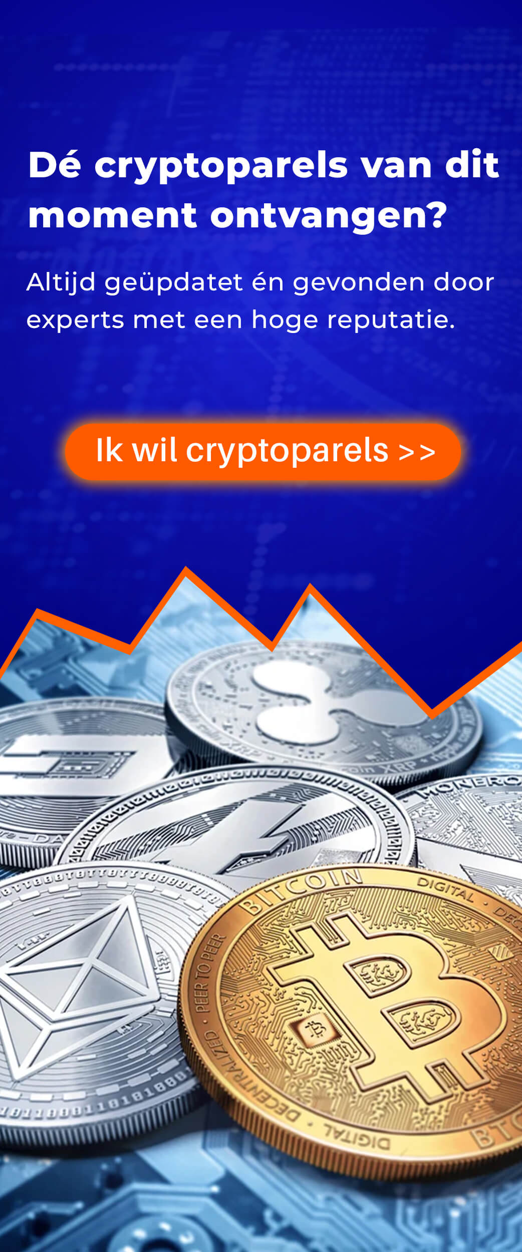 Request Network verwachting Request Network waarde en