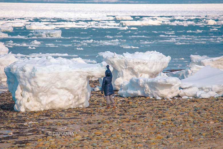 Icebergs are washing up on Cape Cod beaches after winter weather