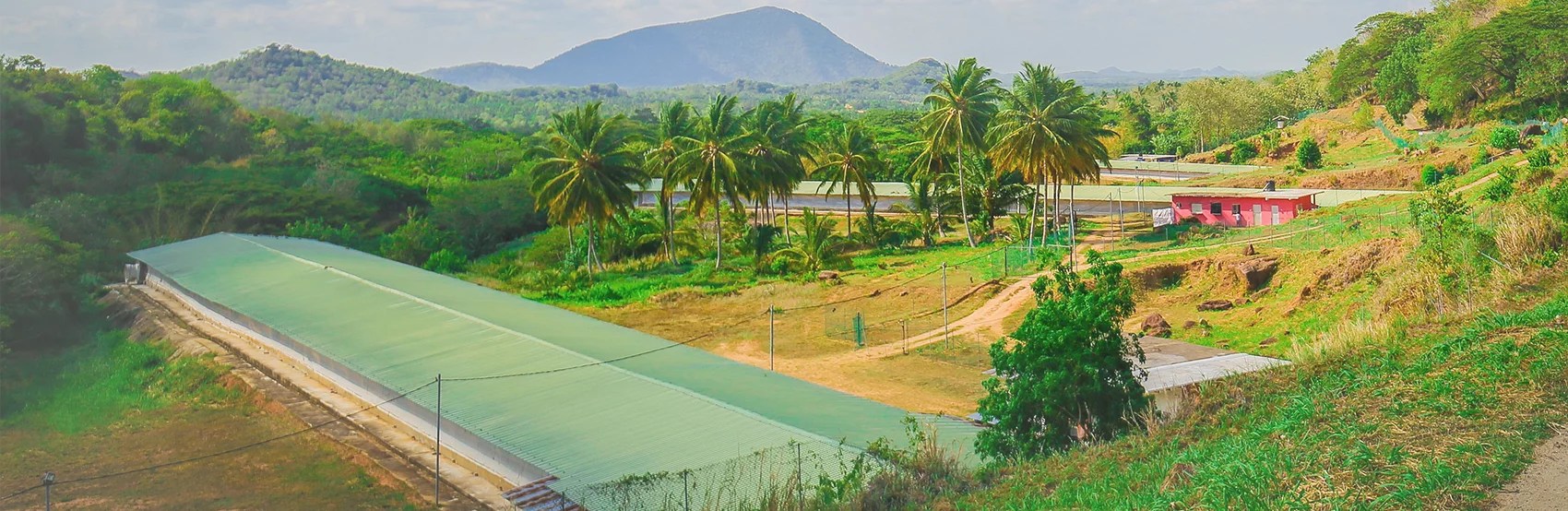 CRYSBRO Sri Lanka's Certified Broiler Chicken Producer Vertical