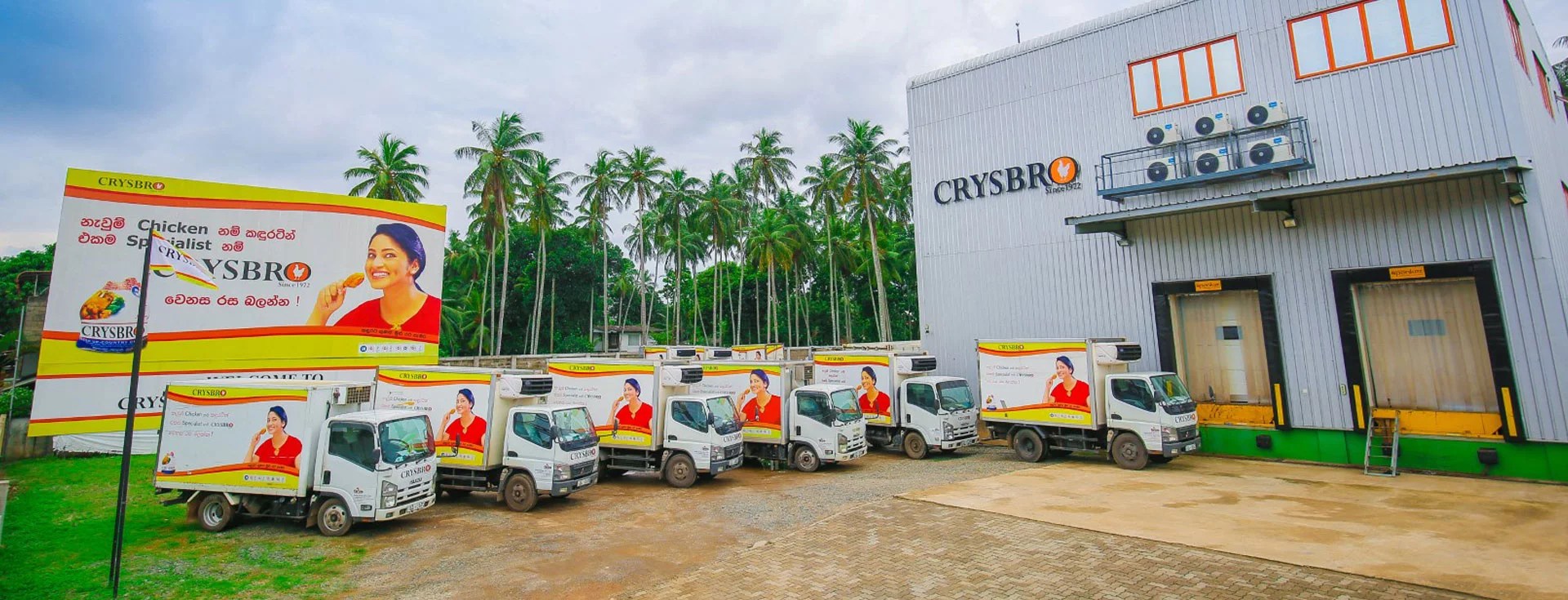 Contact Crysbro Your Trusted Sri Lankan Poultry Supplier