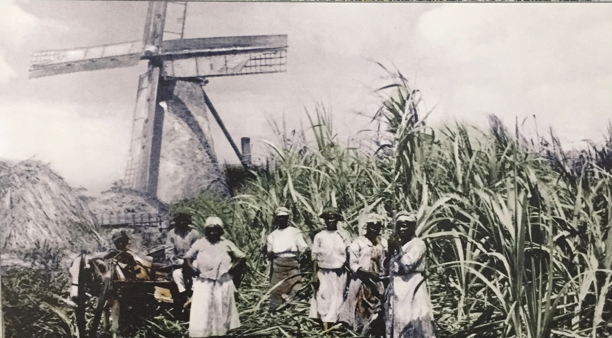 The Life of Indentured Servants in Colonial Barbados Cryssa Bazos