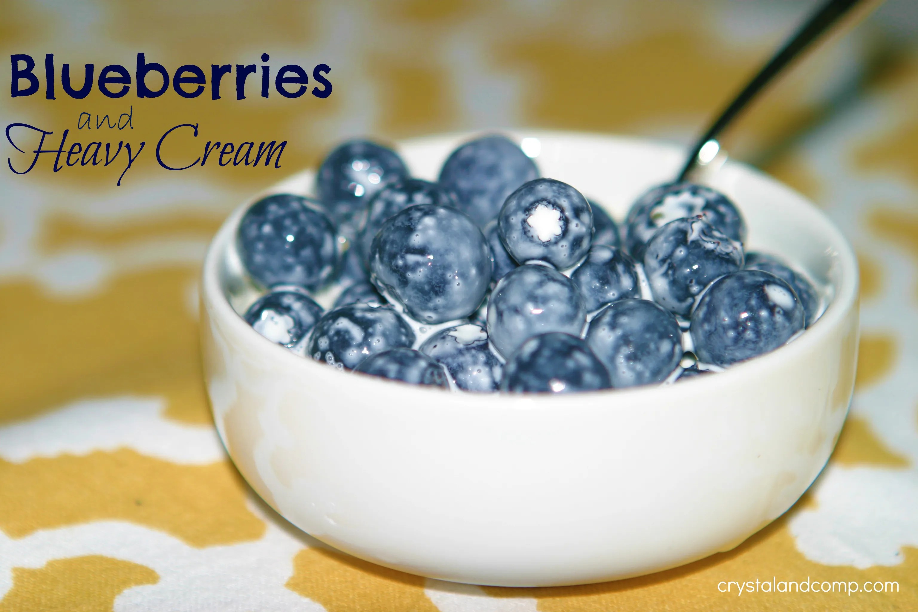 Easy Recipes Blueberries and Cream {Just Like The Boxcar Children