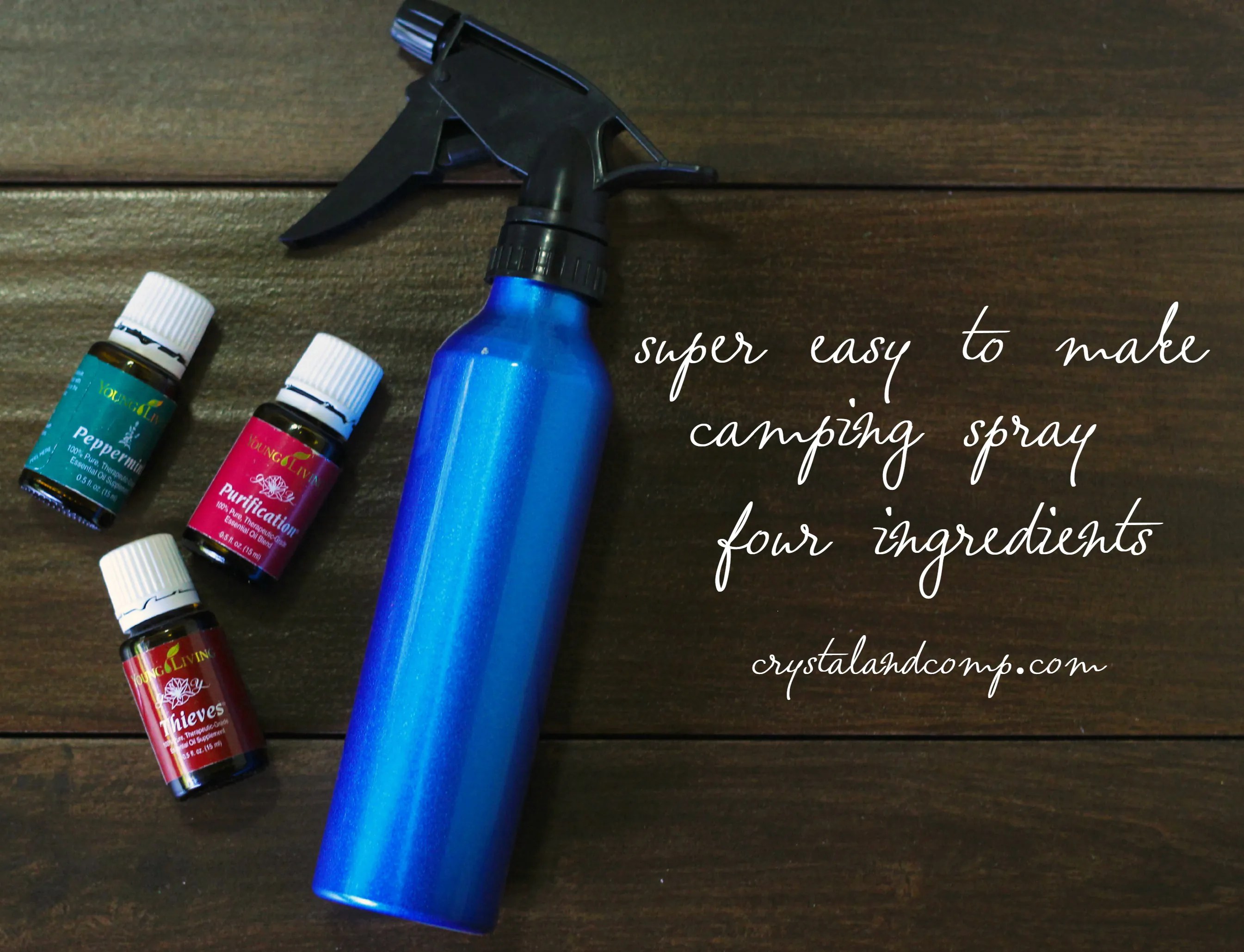 Homemade Bug Spray