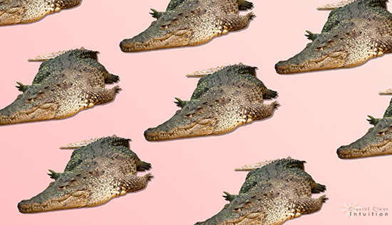 What Does It Mean When an Alligator Appears In Your Dreams