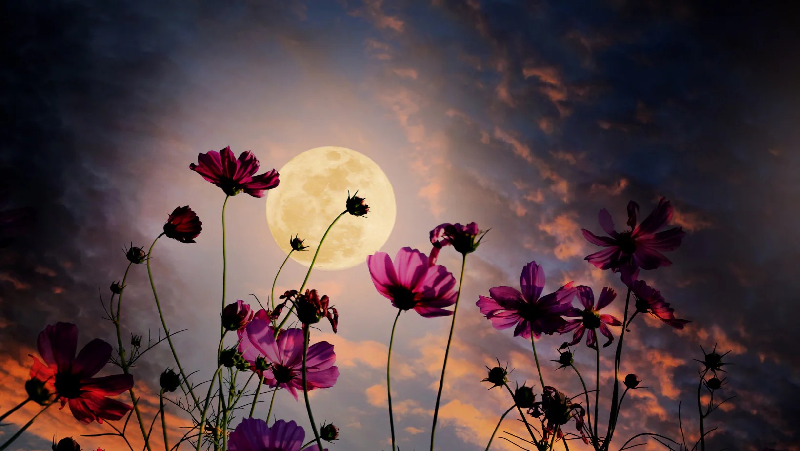May's Full Moon Flower Moon Crystal Joys