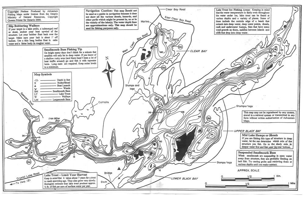 Bear Mischief on Crystal Lake August 15
