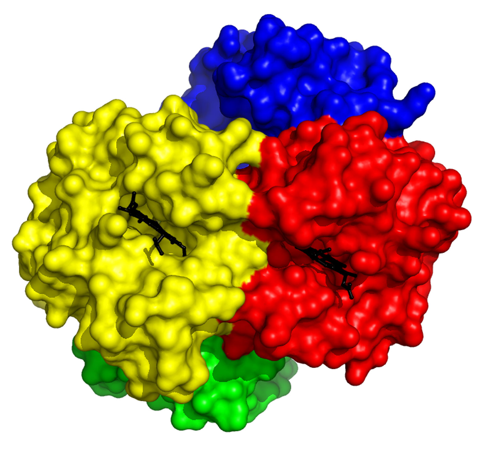 Haemoglobin Bloody protein! Crystallography365