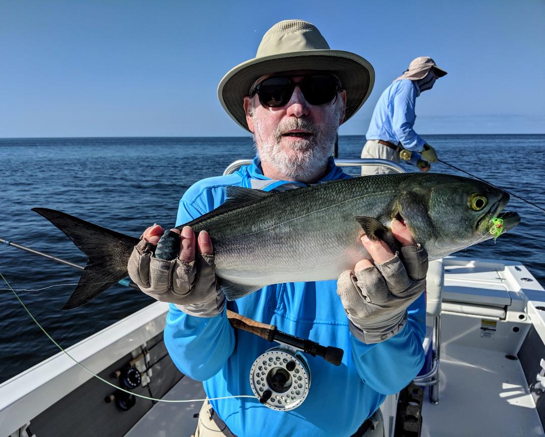 Bluefish Reel Florida Fishing Charters