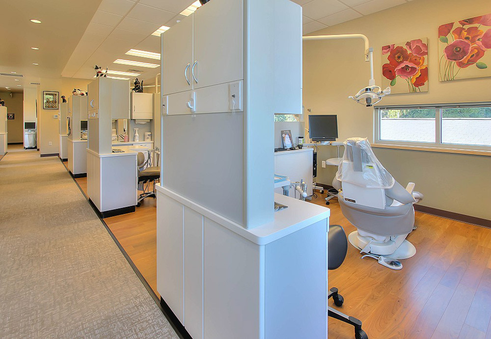 Bothell Dentist Emergency Dentist Dentist Near Me Crystal Springs Dental