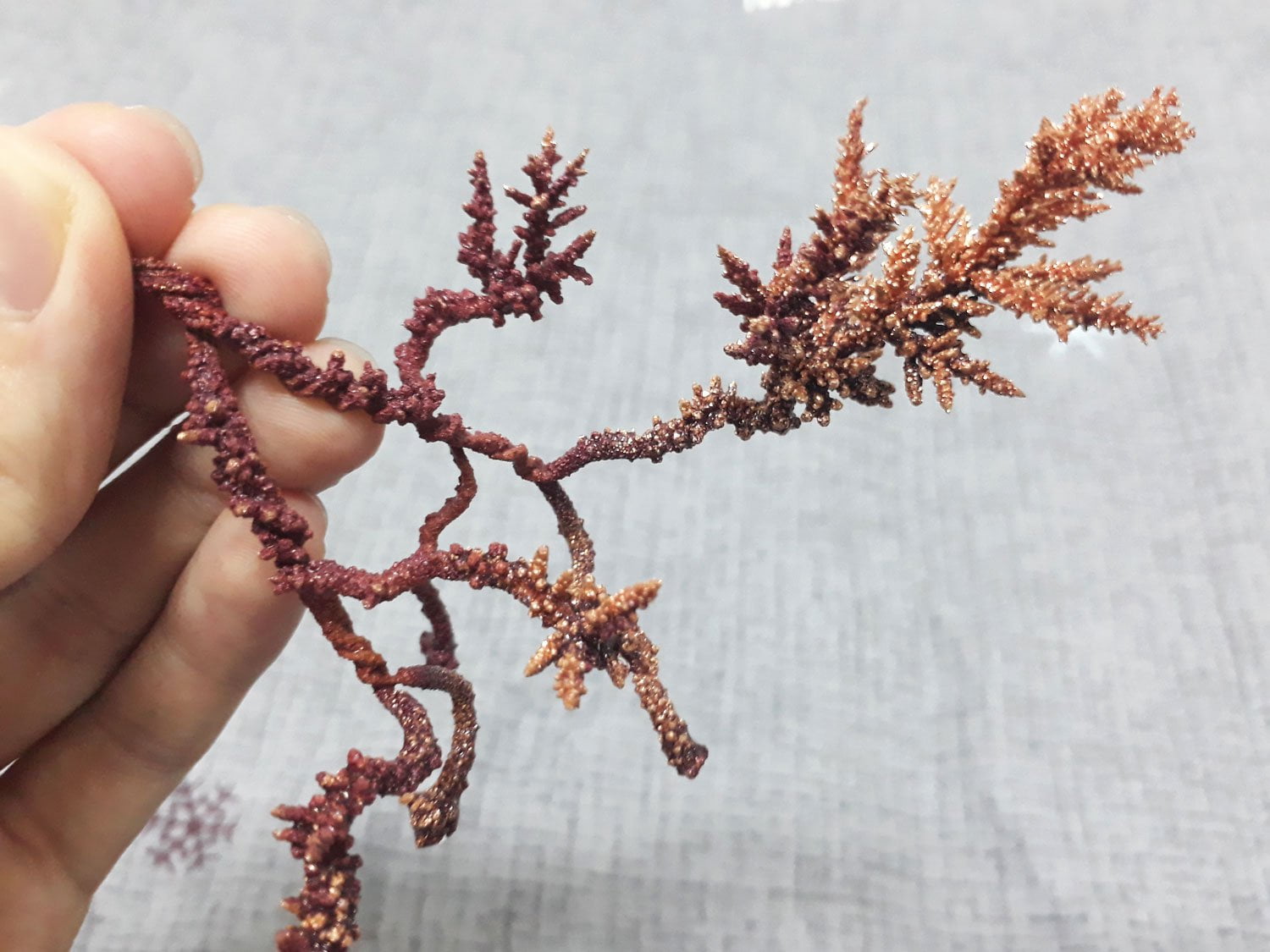 Growing Copper Metal Crystals Using Electricity Part II Crystalverse