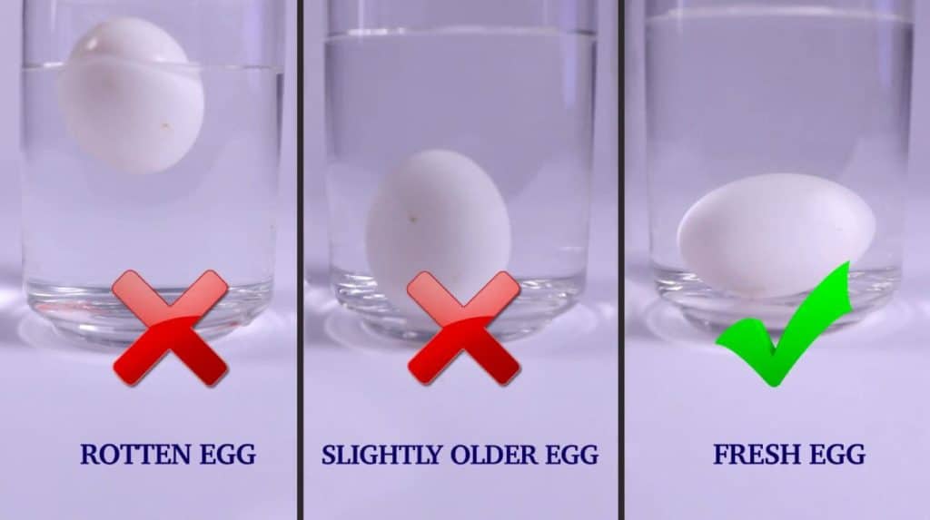 Egg Float Test Tell if Your 'Expired' Eggs Are Still Good to Eat