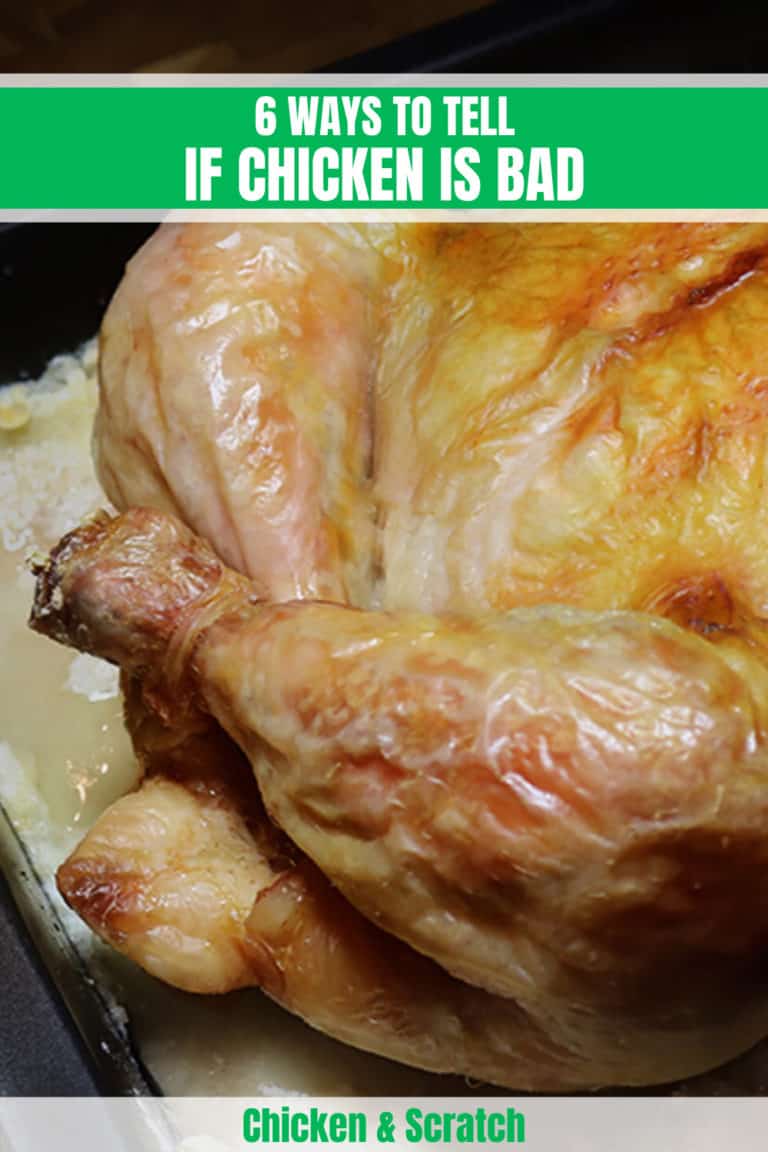 6 Ways to Tell If Chicken Is Bad