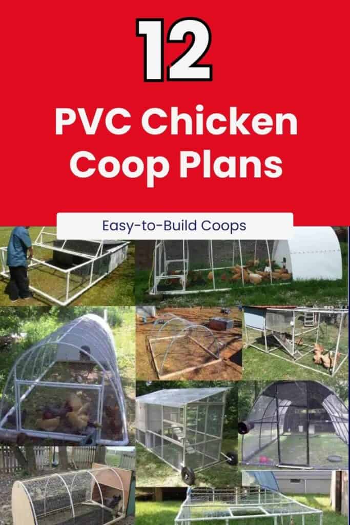 12 Free PVC Chicken Coop Plans That Are Easy to Build