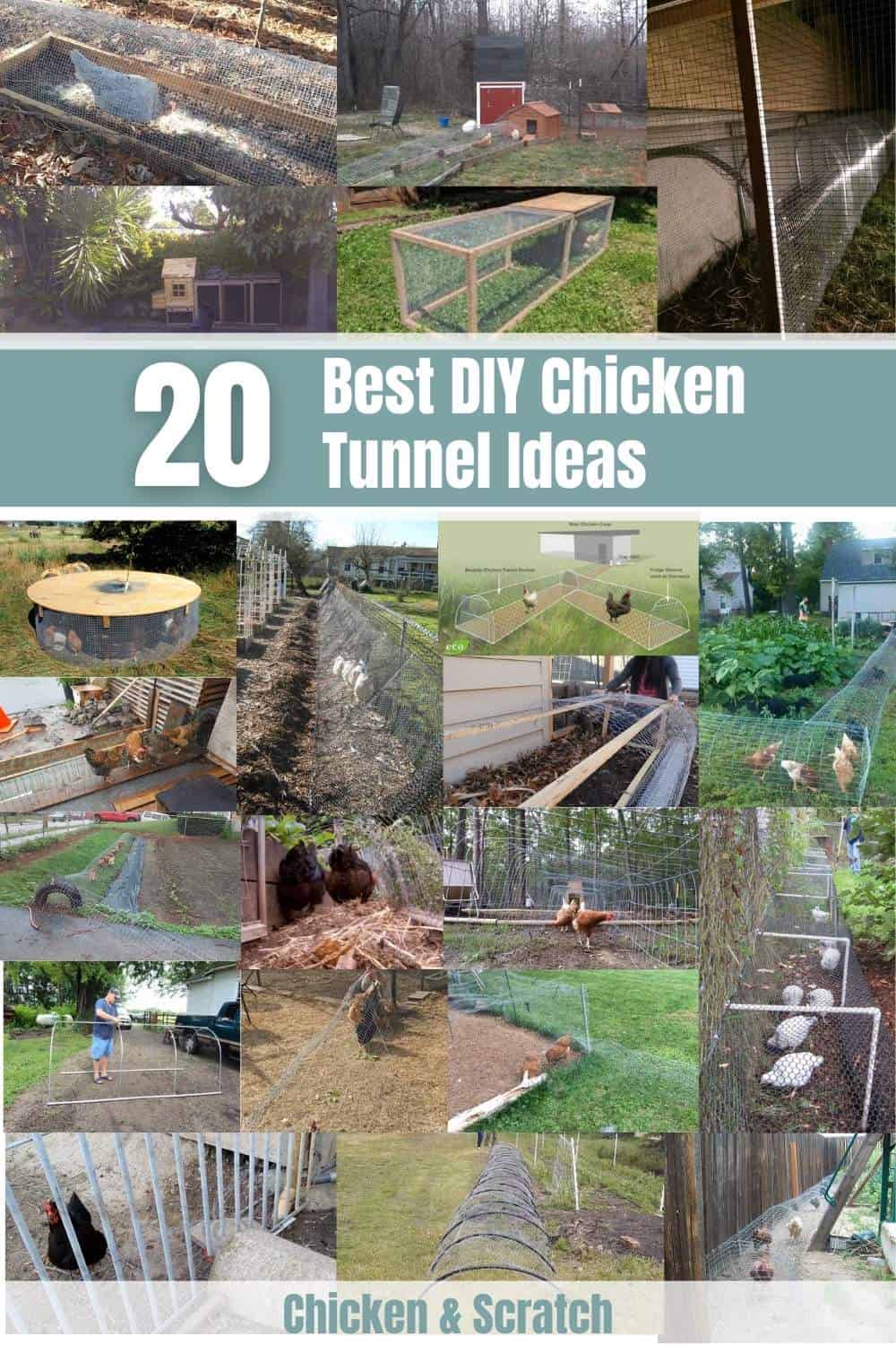20 DIY Chicken Tunnel ideas for Every Garden