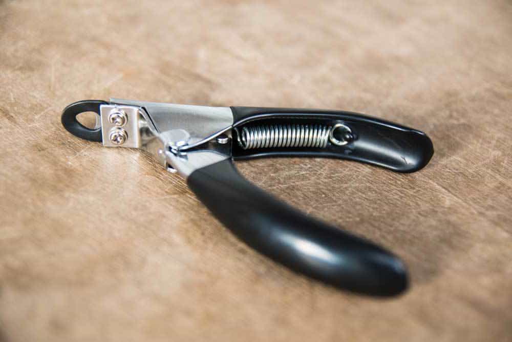 6 Easy Ways to Remove Rooster Spurs