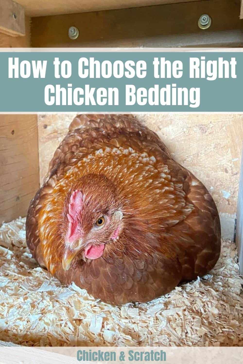 How to Choose the Right Chicken Bedding