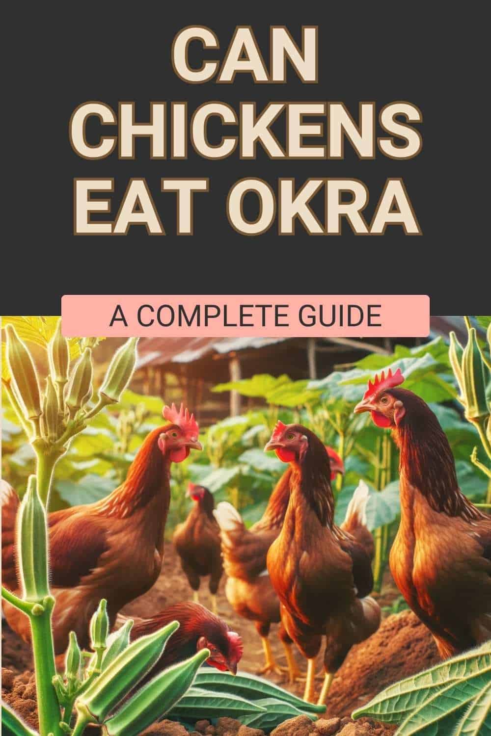 Can Chickens Eat Okra? (Nutrition, Benefits, Feeding Tips)