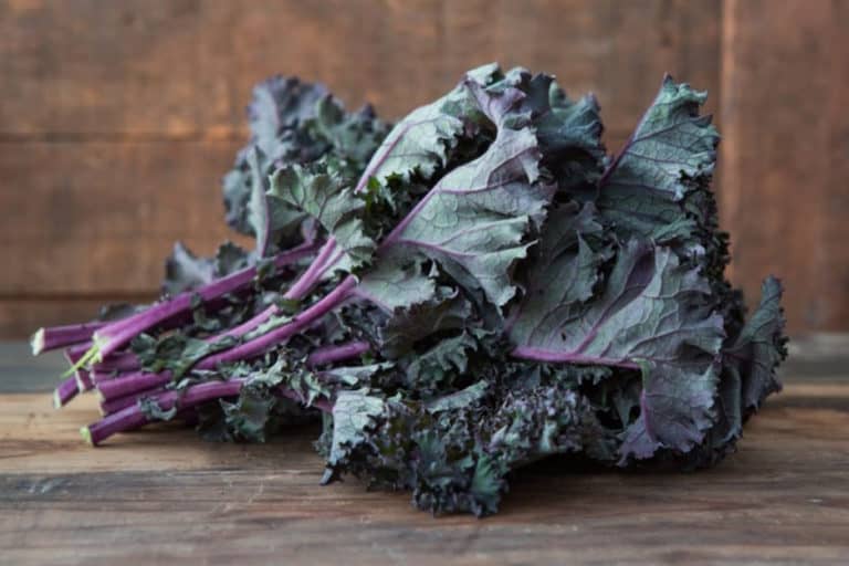 Can Chickens Eat Kale? (Nutrition, Pros and Cons & Feeding Tips)