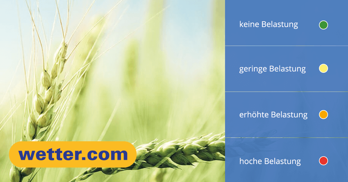 Aktueller Pollenflug für Deutschland