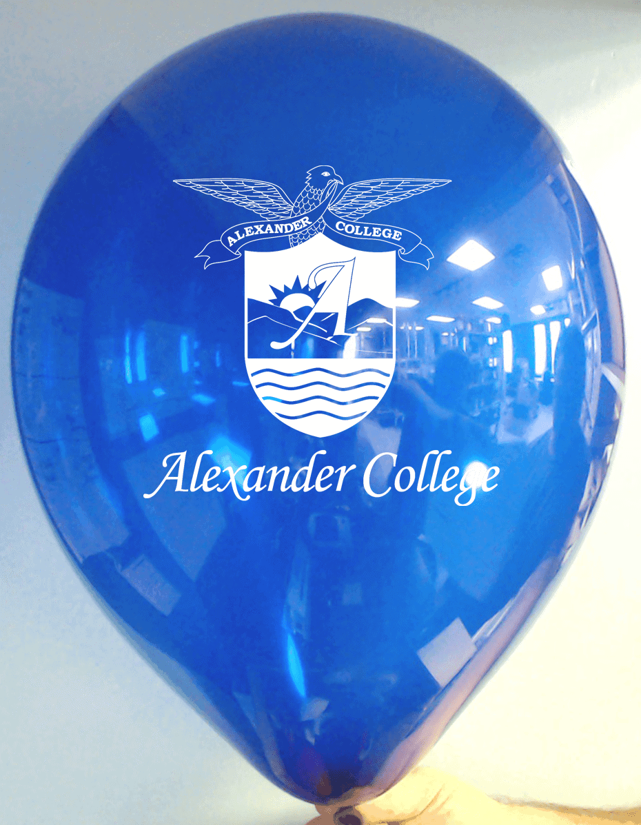 Custom Balloons Minneapolis Personalized Balloons Minneapolis