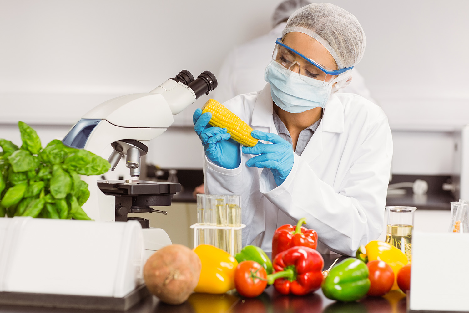 Seguridad Alimentaria CSA
